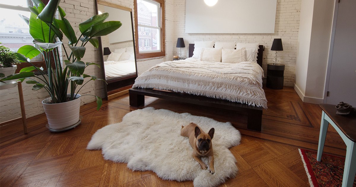 Easy and Essential Home Upgrades InsideHook