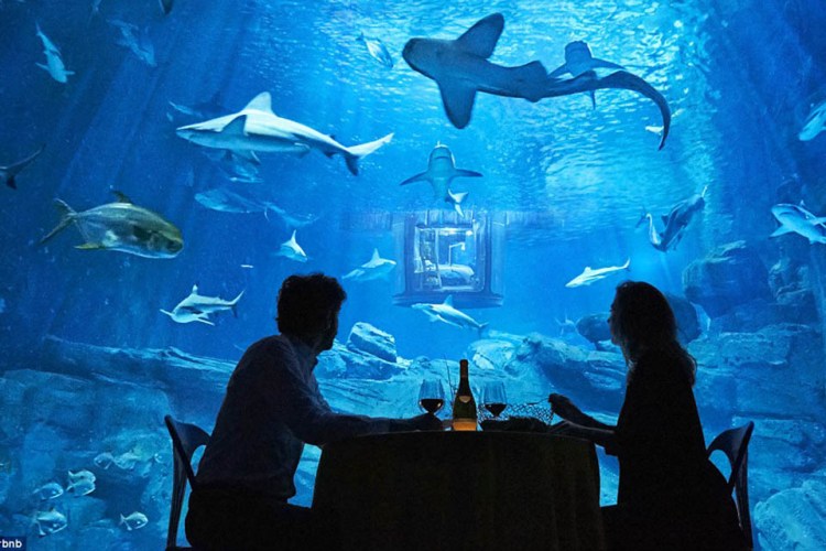 Underwater Hotel Room Will Have You Sleeping With the Sharks