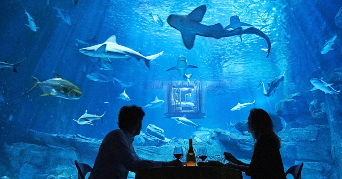 Underwater Hotel Room Will Have You Sleeping With the Sharks
