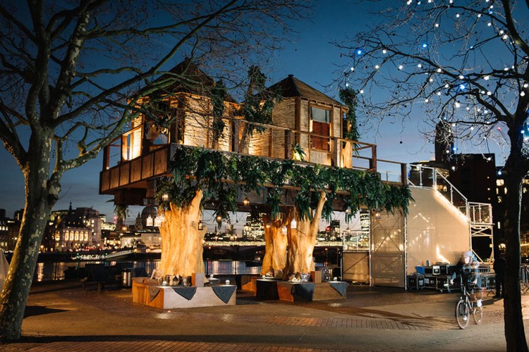 Safari in the the City in an Urban Treehouse