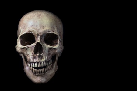 human cousin bones found