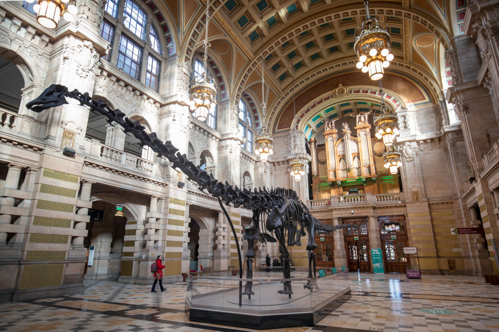 Dippy the dinosaur. (GettyImages)