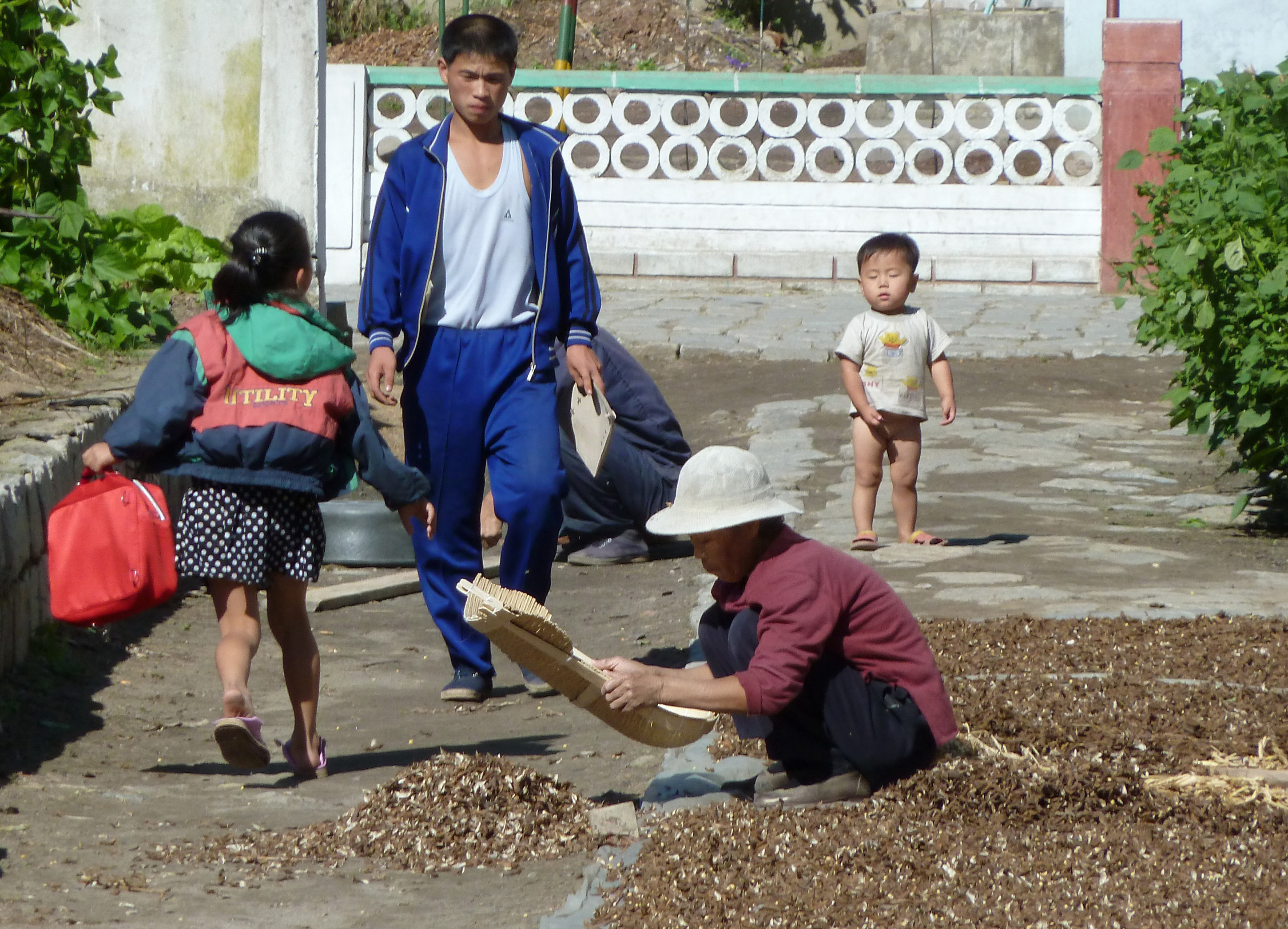 North Korea food aid