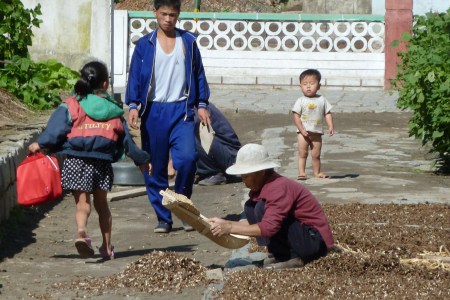 North Korea food aid