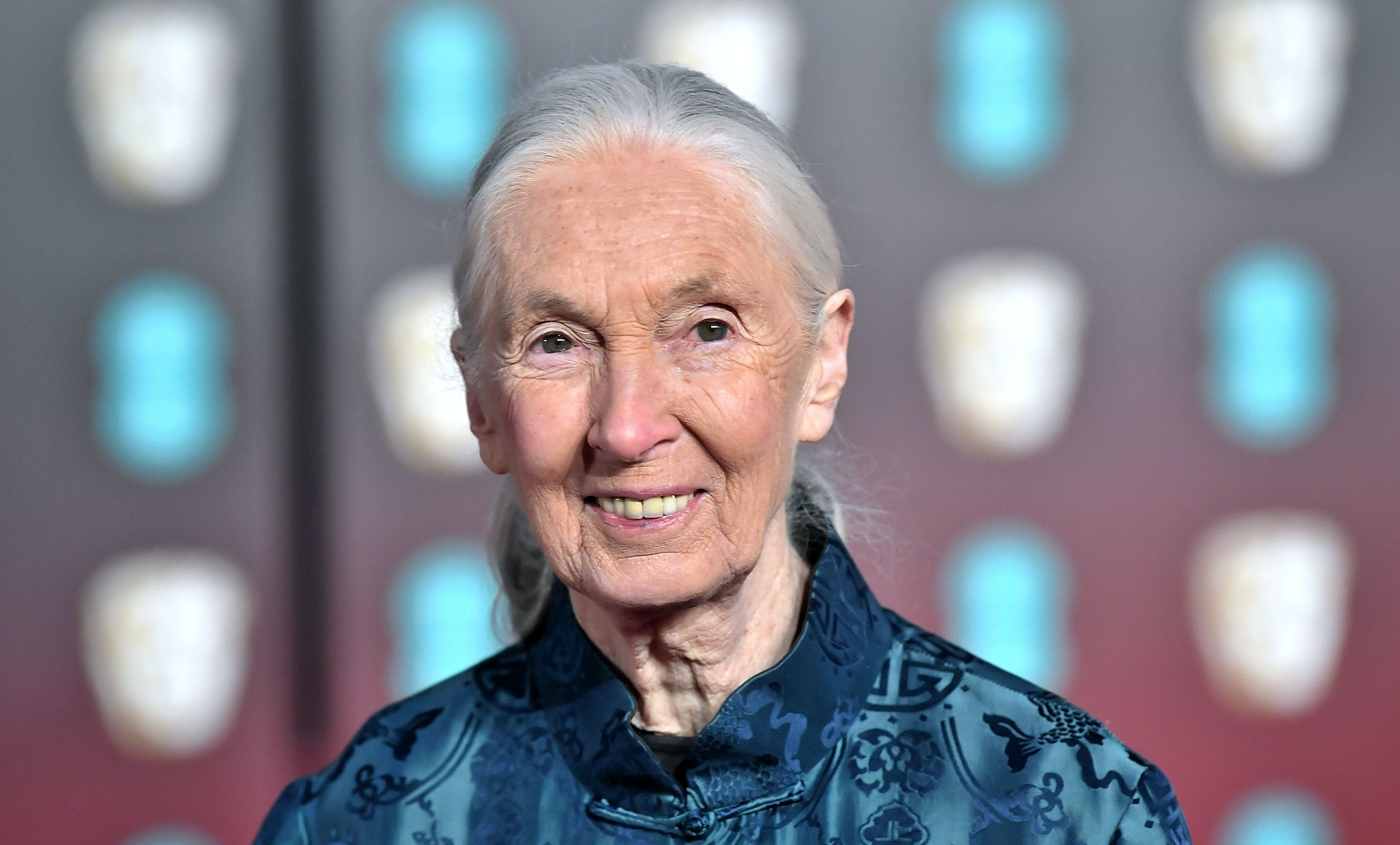Jane Goodall birthday