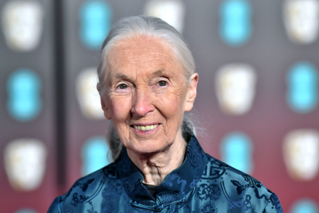 Jane Goodall birthday