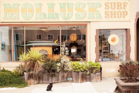 5 Essentials From Mollusk Surf, the Perfect Men’s Shop for Summer