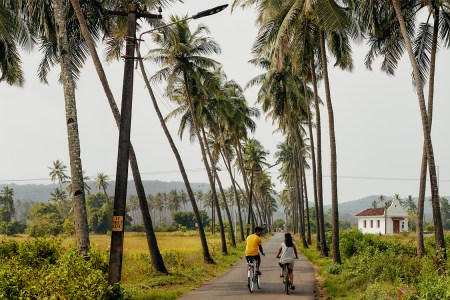 Airbnb and 23andMe Have Joined Forces on a “Heritage Travel” Campaign