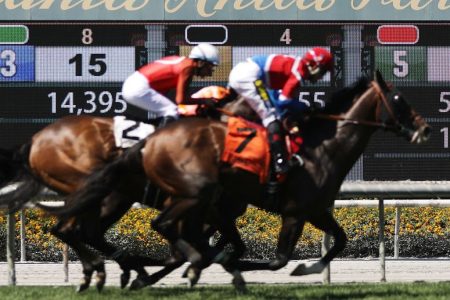 Horses at Santa Anita Park
