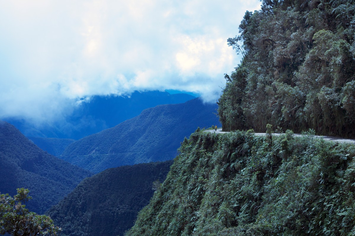 Bolivian rainforest