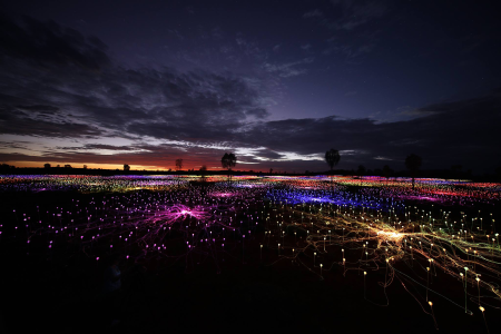 Bruce Munro Field of Light Paso Robles