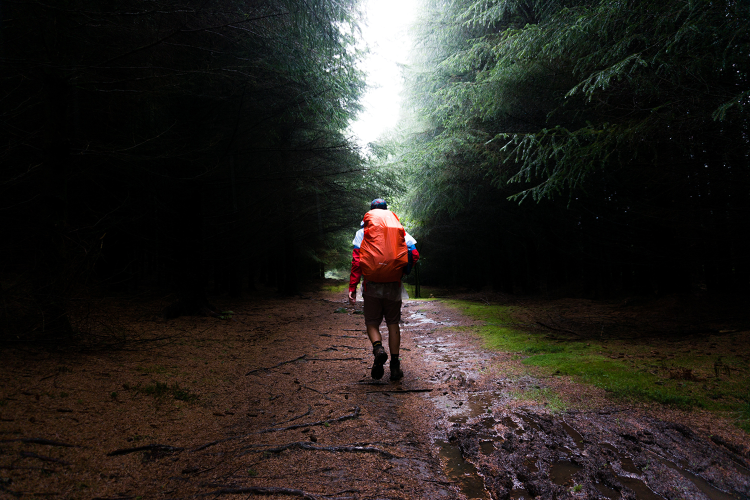 How to Not Get Lost in the Woods (and What to Do If You Fail) - InsideHook