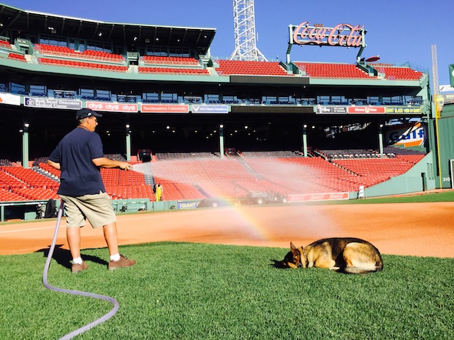 David Mellor, Senior Director of Grounds for the Boston Red Sox, and his dog Drago. (Jackson Holewa)