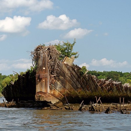 How a Bunch of Abandoned WWI Boats Became America’s Newest Marine Sanctuary