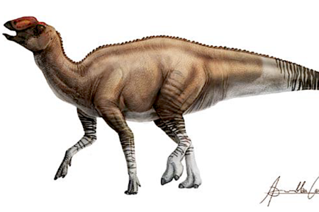 A recently discovered species of dinosaur has given scientists new insights as to how the creatures evolved millions of years ago. (Credit: ICRA Art) 