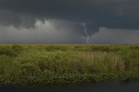 (Photo by Joe Raedle/Getty Images)