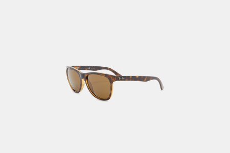 Ray-Ban Sunglasses $100