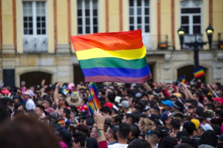 Many Genes Influence Same-Sex Sexuality