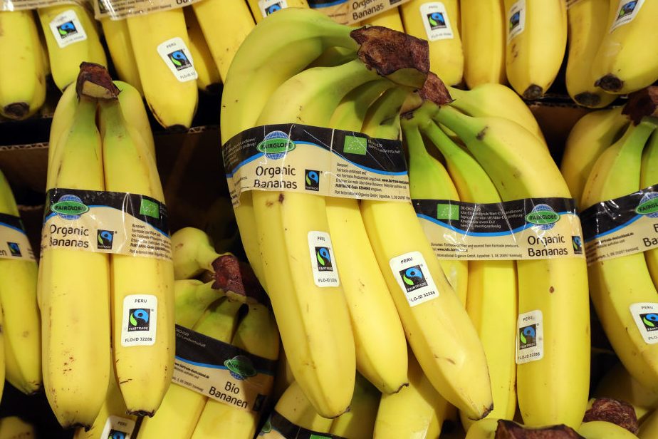 A Tropical Fungus Could Make Bananas Go Extinct