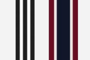Adidas and J.Crew Stripes
