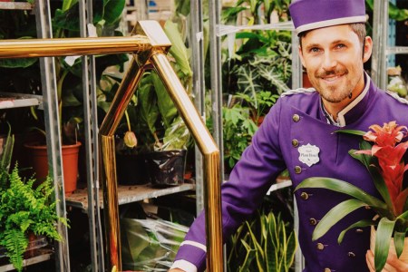 The World's First Houseplant Hotel