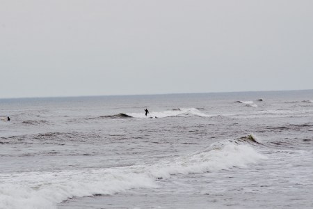 Recent Increase in Shark Attacks