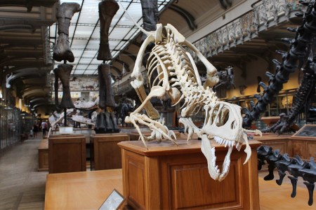 Museum Day September 2st