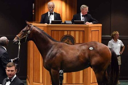 The MyRacehorse app lets you buy a horse. (MyRacehorse)