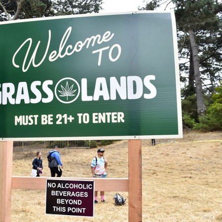 Grass Lands Cannabis Experience at Outside Lands