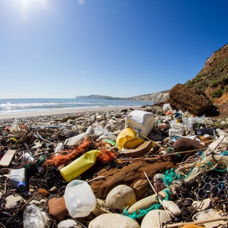 The Caribbean Has the Highest Per Capita Plastic Pollution