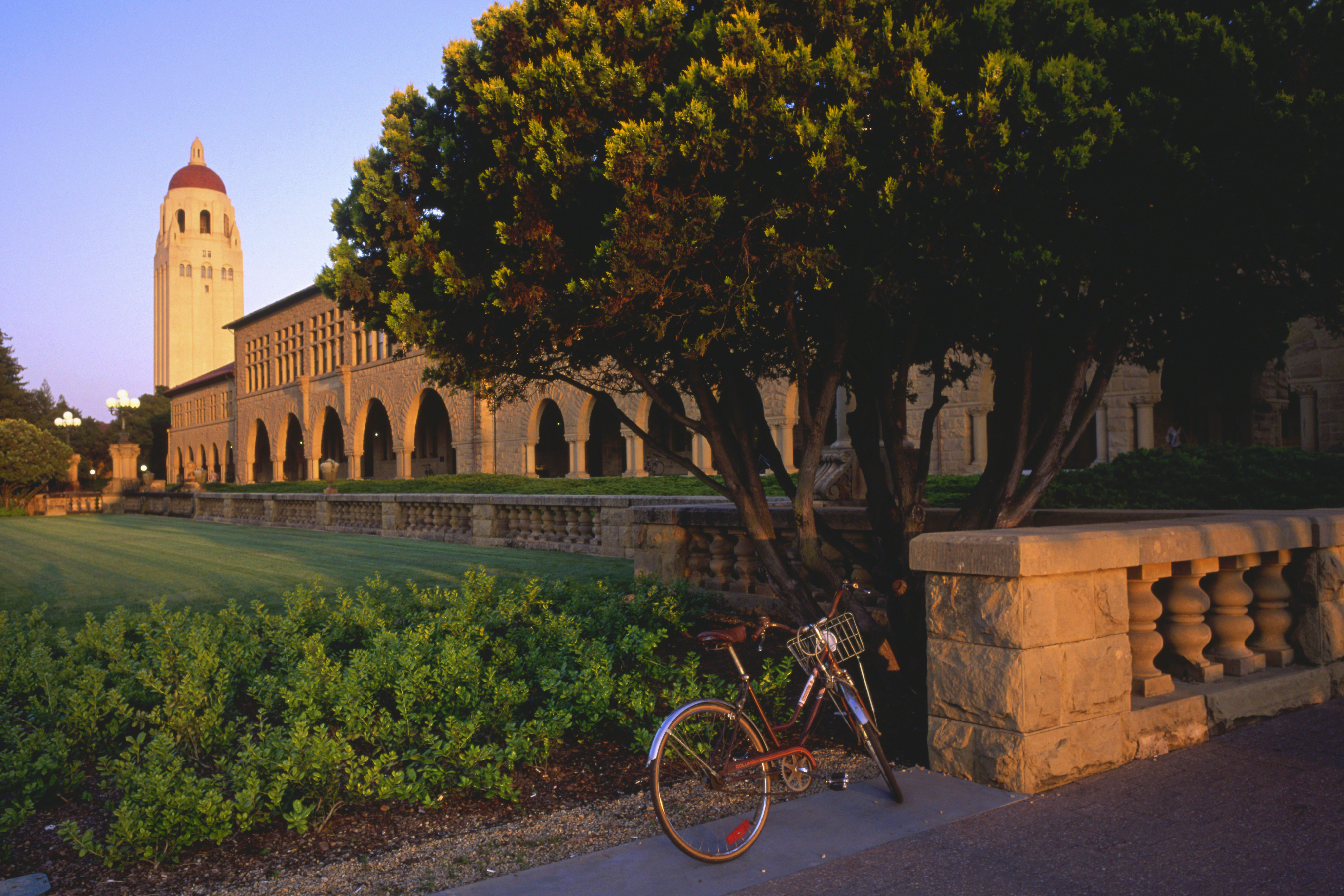 Stanford