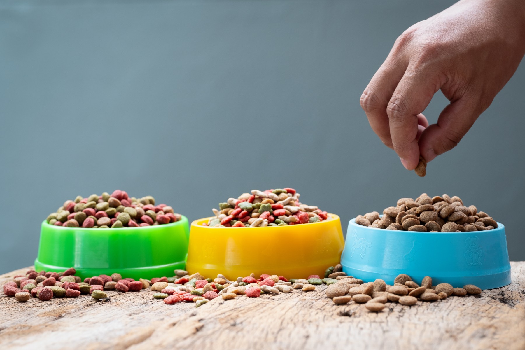 Why Putting Your Pet On A Vegan Diet Is A Terrible Idea InsideHook why-putting-your-pet-on-a-vegan-diet-is-a-terrible-idea-insidehook