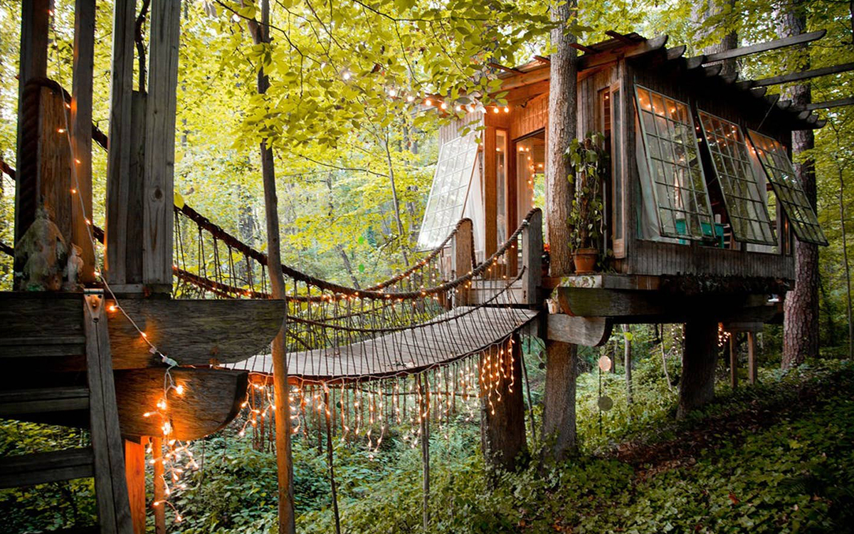 The Best Treehouses on Airbnb