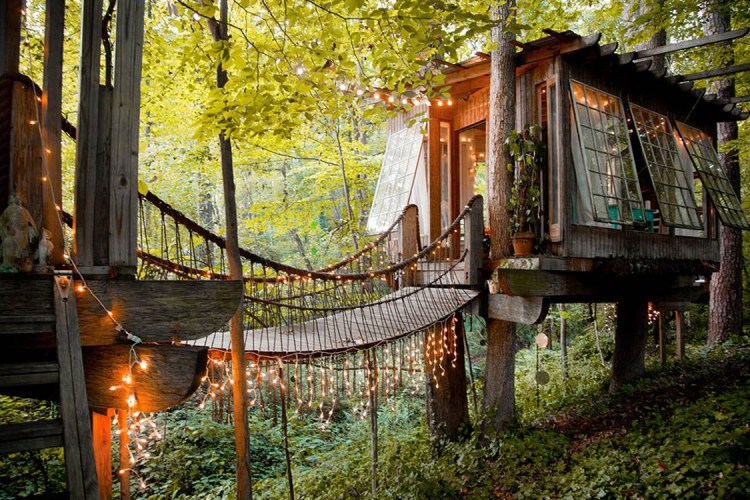 The Best Treehouses on Airbnb