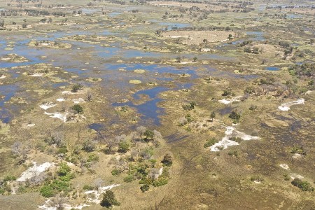 Okavango River