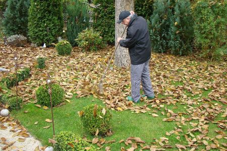(Photo by Ilona Studre/ullstein bild via Getty Images)