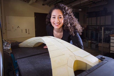 Leonardo da Vinci Bridge