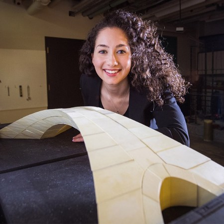 Leonardo da Vinci Bridge