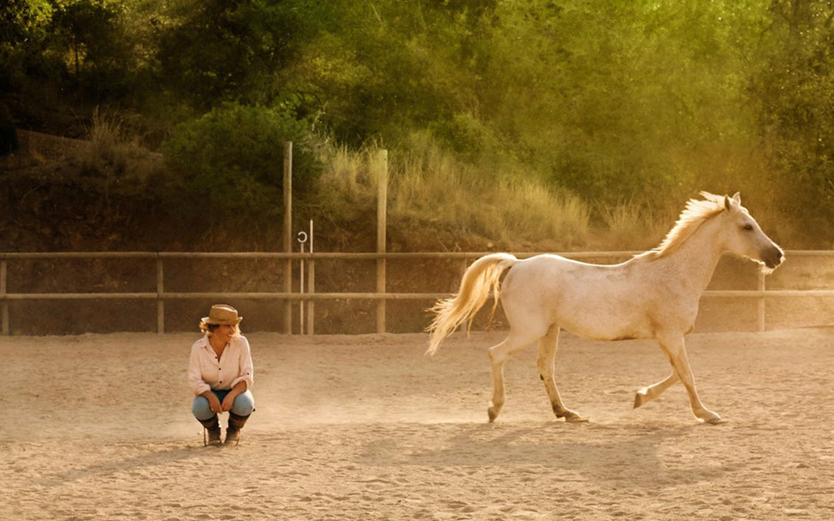 Airbnb Animal Experiences
