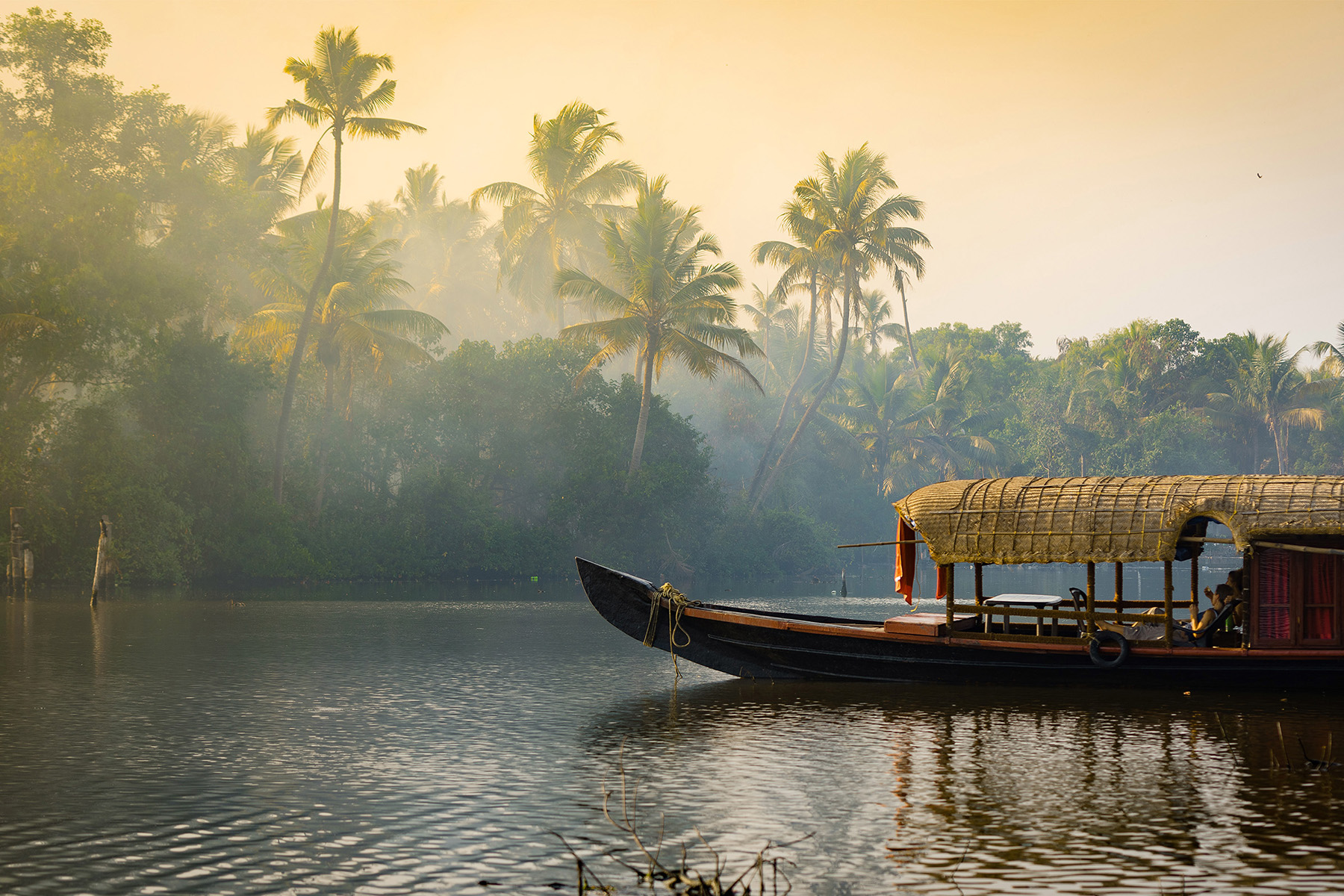 18. <strong>Kerala, India</strong><br><strong>The skinny:</strong> 95% increase; calm, coastal region with sanctuaries for elephants, monkeys and tigers<br><strong>Choicest digs:</strong> <a href="https://www.airbnb.com/rooms/26109146?source_impression_id=p3_1572464690_f4IomUVLVoZ6n7bF">Riverloft Kabani</a>