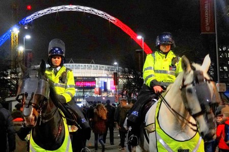 Police horses