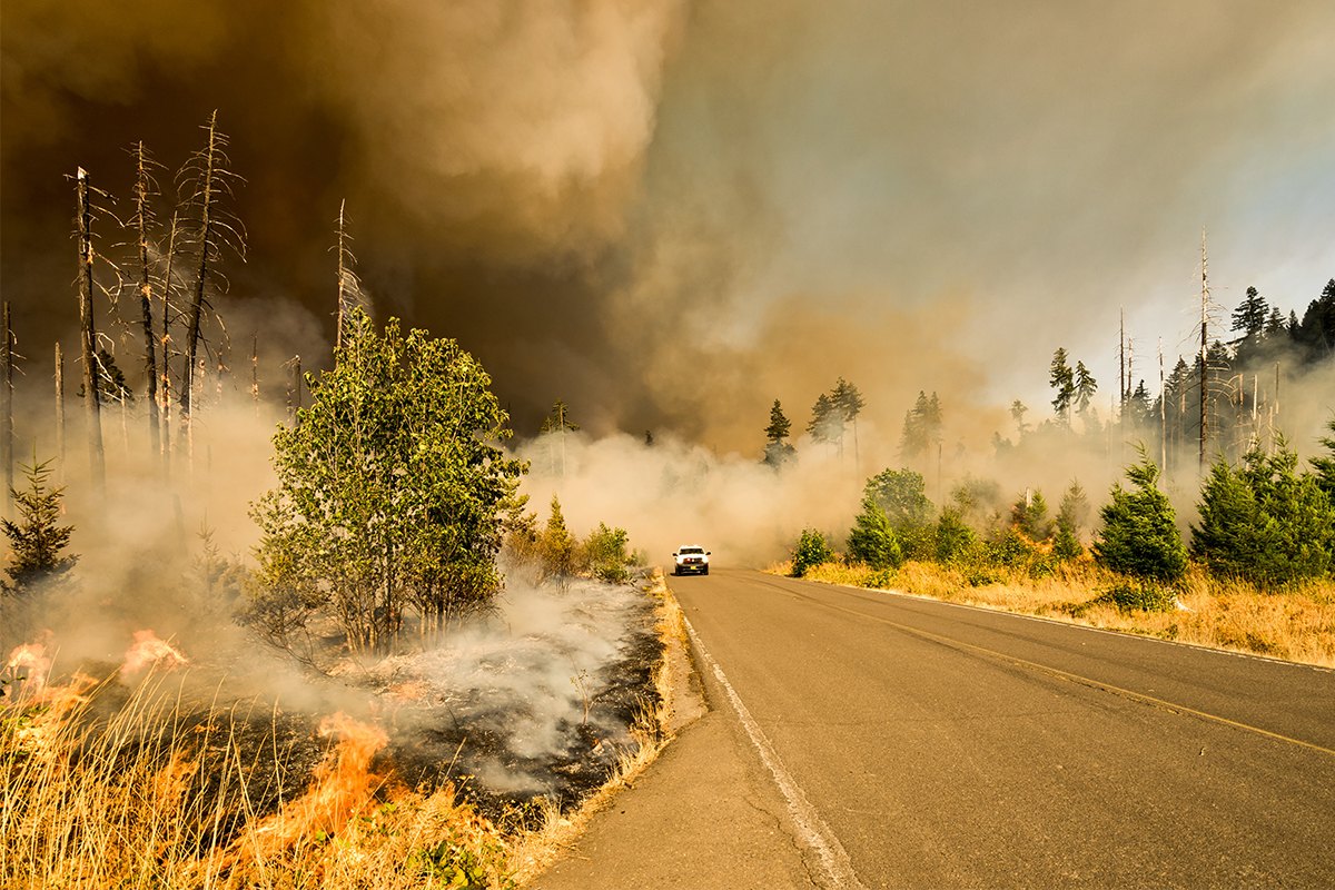 Jones Fire, Willamette National Forest, Lowell, Oregon