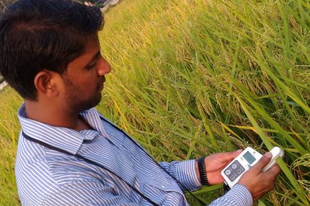 Measuring chlorophyll