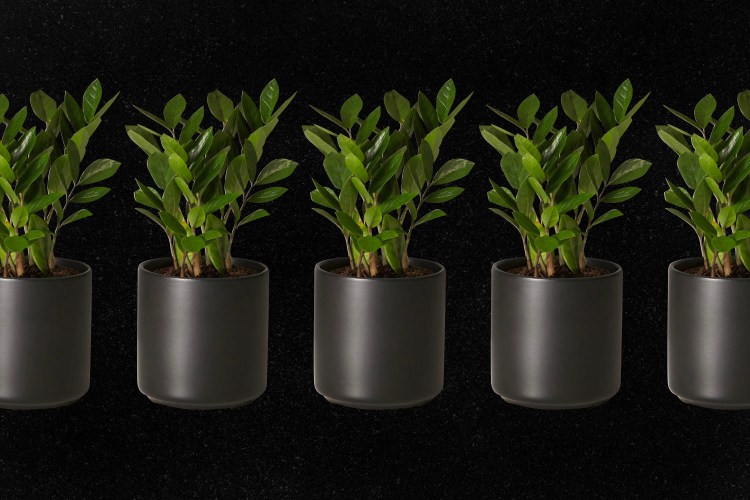 The Best Black Friday Deals to Shop on Food & Drink InsideHook