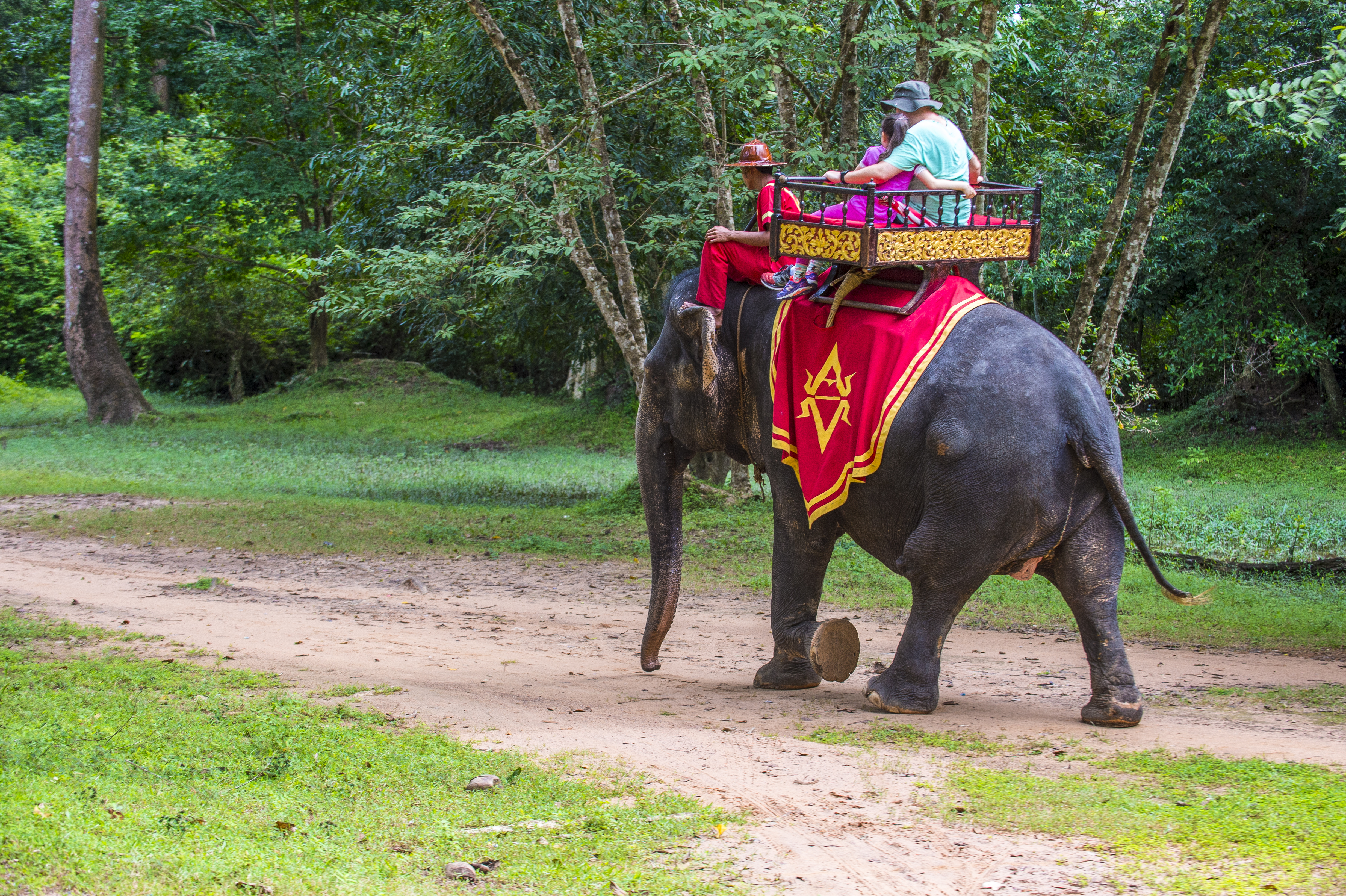 ankor elephant rides