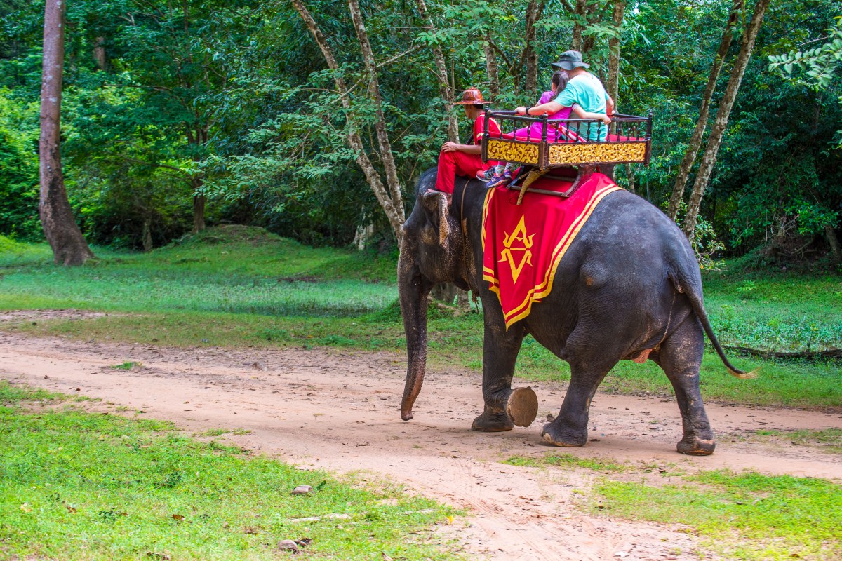 Cambodia Will Ban Elephant Rides at Angkor in 2020 InsideHook