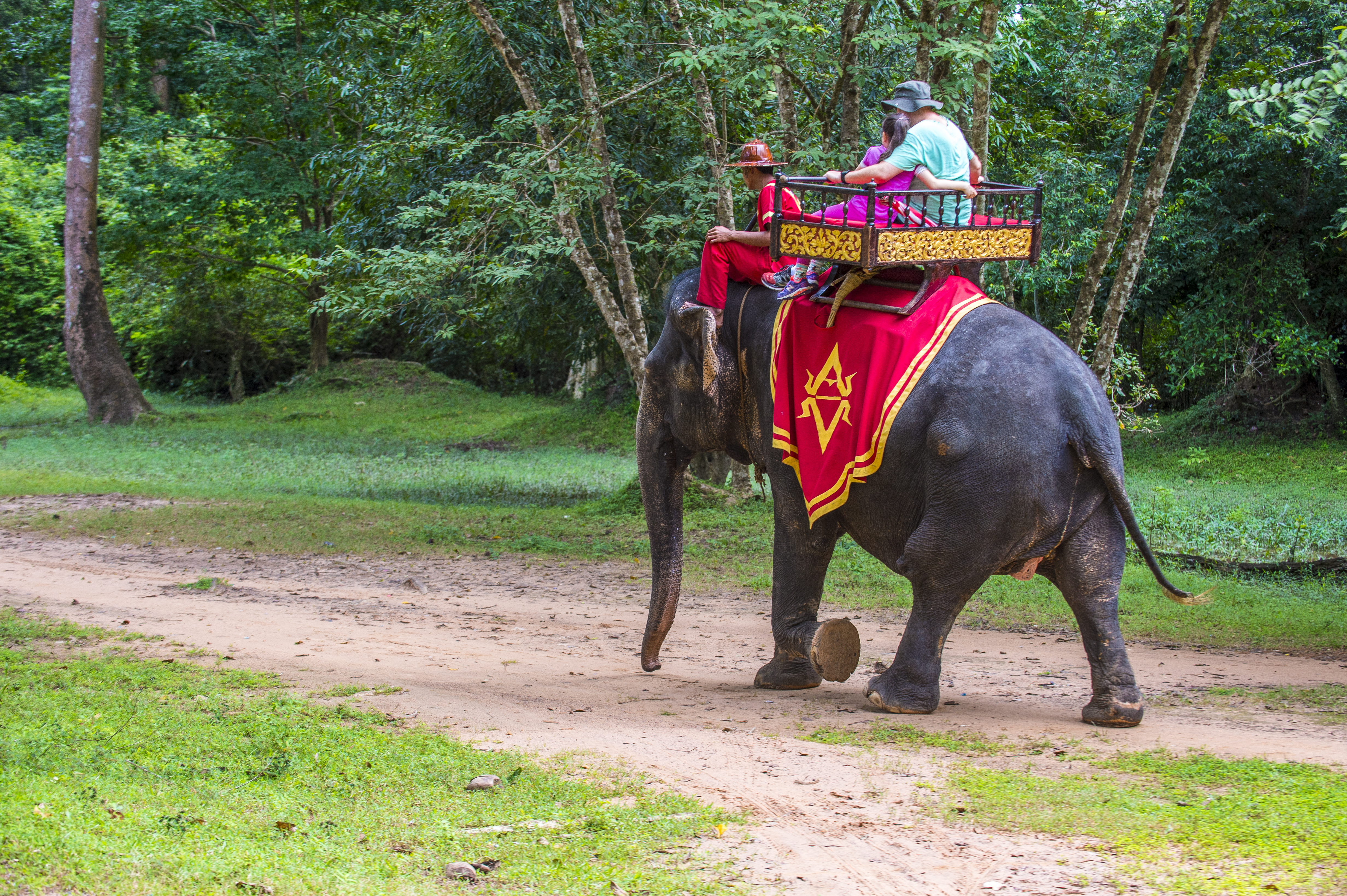 Cambodia Will Ban Elephant Rides at Angkor in 2020 - InsideHook