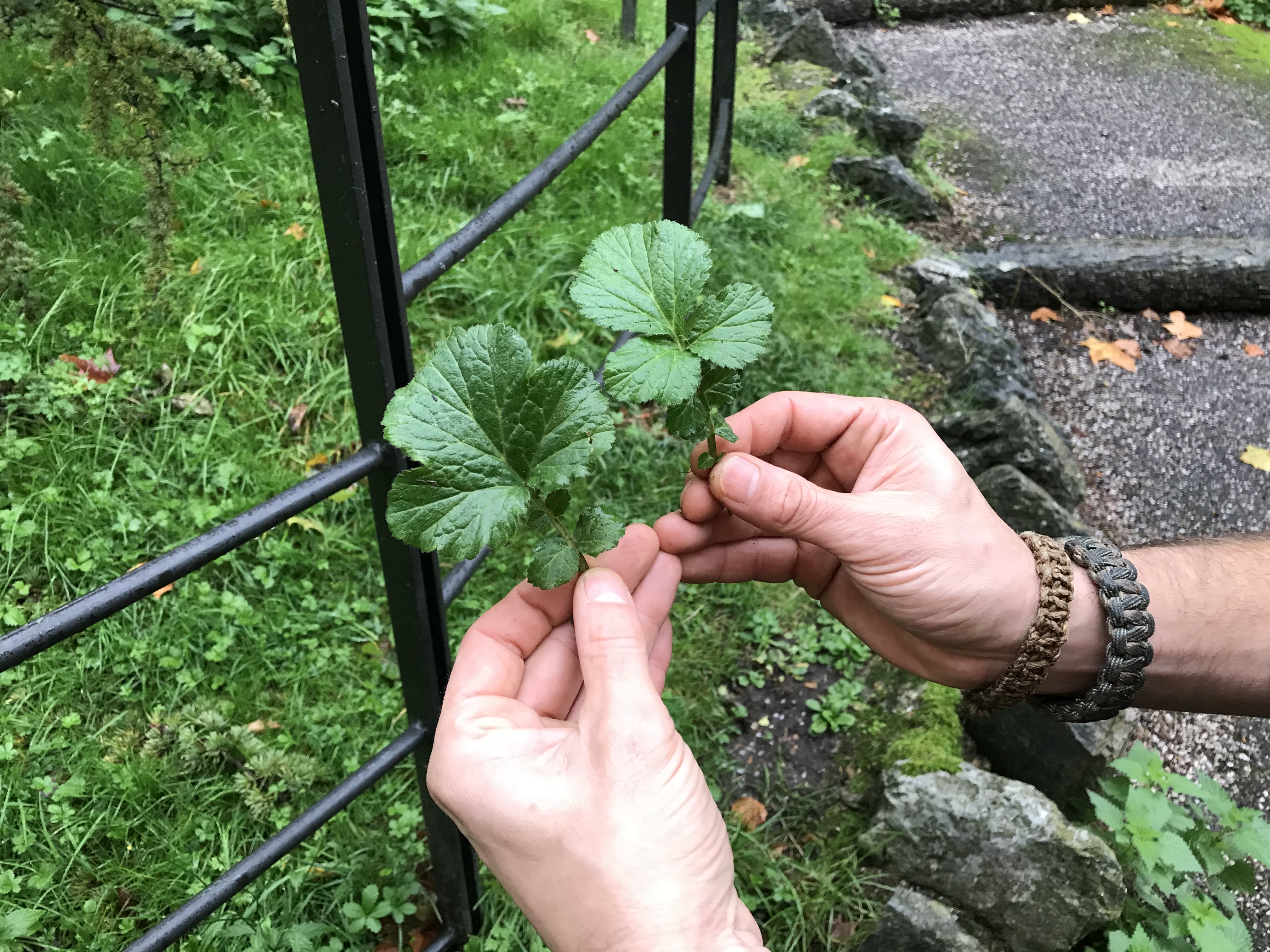 A New Touring Company Doesn’t Want You to Feel (Or Spend) Like a Tourist