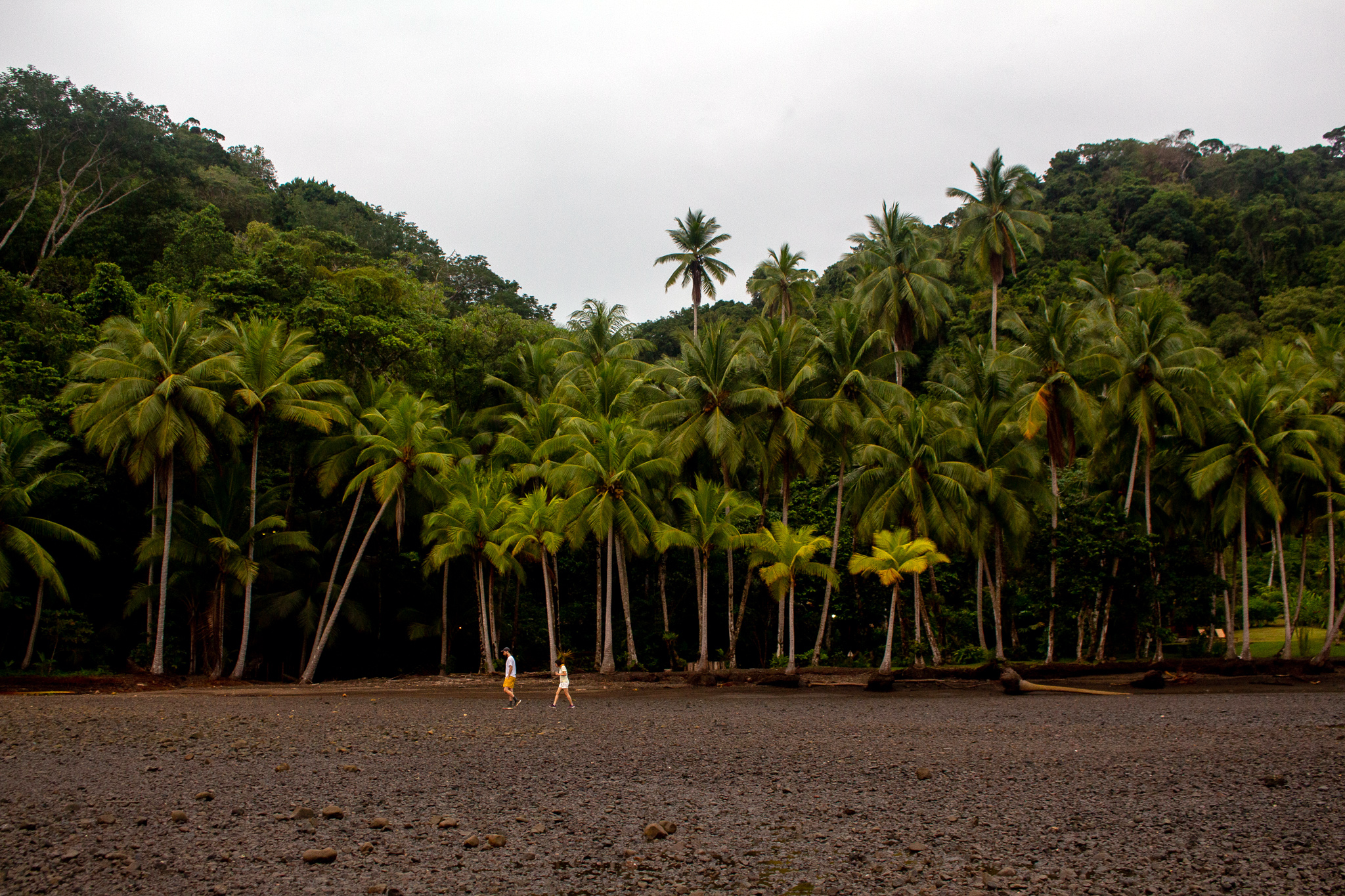 The beach at Playa Cativo experiences some drastic high and low tides, meaning you can get out and explore the ocean floor