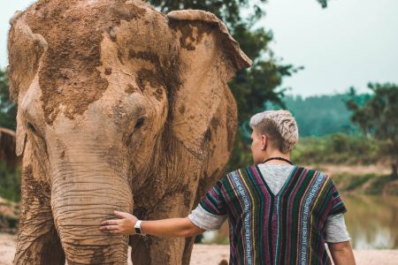 ethical elephant sanctuary thailand